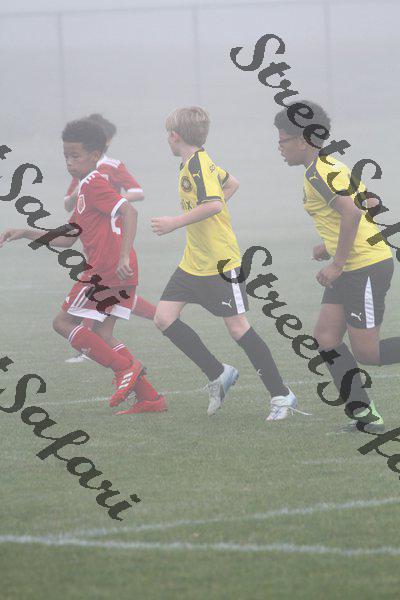 IMG_0092 (cam 0)