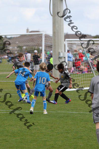 IMG_0083 (cam 0)