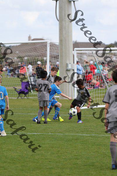 IMG_0085 (cam 0)
