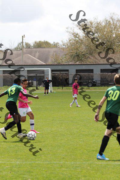 IMG_0017 (cam 0)