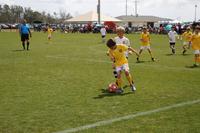 IMG_0019 (cam 0)