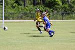 IMG_0005 (cam 0)