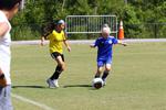 IMG_0028 (cam 0)