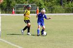 IMG_0030 (cam 0)