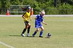 IMG_0031 (cam 0)