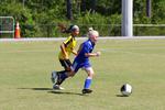 IMG_0033 (cam 0)