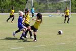 IMG_0035 (cam 0)
