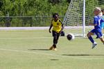 IMG_0043 (cam 0)