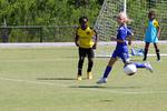 IMG_0044 (cam 0)