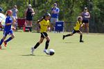 IMG_0065 (cam 0)