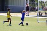 IMG_0068 (cam 0)