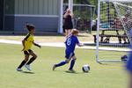IMG_0069 (cam 0)