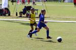IMG_0073 (cam 0)