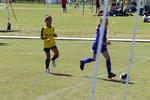 IMG_0076 (cam 0)