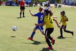 IMG_0077 (cam 0)