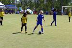 IMG_0079 (cam 0)