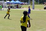 IMG_0084 (cam 0)