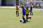 IMG_0100 (cam 0)