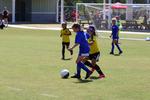 IMG_0101 (cam 0)