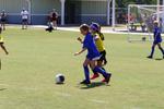 IMG_0102 (cam 0)