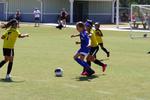 IMG_0103 (cam 0)