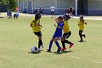 IMG_0104 (cam 0)
