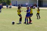 IMG_0105 (cam 0)