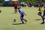 IMG_0106 (cam 0)