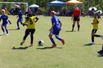 IMG_0108 (cam 0)