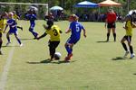 IMG_0109 (cam 0)