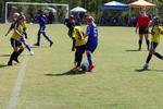 IMG_0110 (cam 0)
