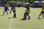 IMG_0111 (cam 0)