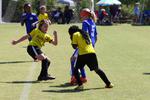 IMG_0116 (cam 0)