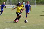 IMG_0119 (cam 0)