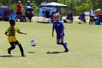 IMG_0133 (cam 0)