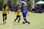 IMG_0145 (cam 0)