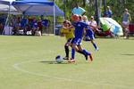 IMG_0187 (cam 0)