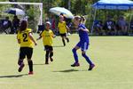 IMG_0208 (cam 0)