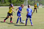 IMG_0233 (cam 0)