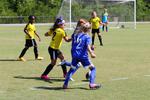 IMG_0235 (cam 0)