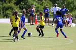 IMG_0240 (cam 0)