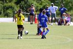 IMG_0242 (cam 0)