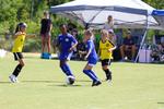 IMG_0244 (cam 0)