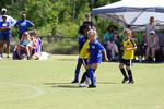 IMG_0246 (cam 0)