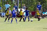 IMG_0247 (cam 0)