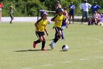 IMG_0253 (cam 0)