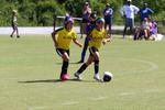 IMG_0254 (cam 0)