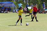 IMG_0257 (cam 0)