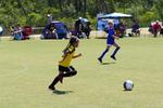IMG_0261 (cam 0)