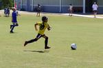 IMG_0263 (cam 0)